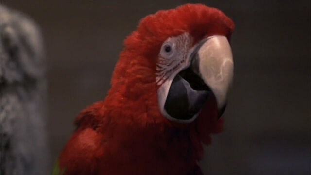 File:102-dalmatians-disneyscreencaps com-8343.jpg