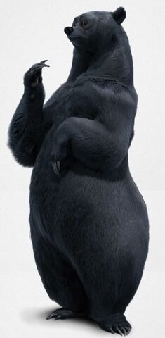 File:Mumbear.jpg