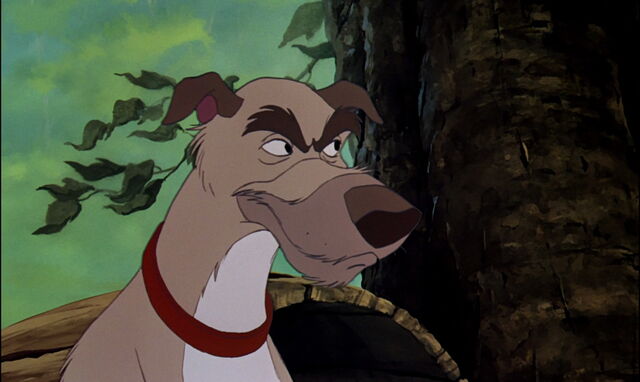 File:Fox-and-the-hound-disneyscreencaps.com-2214.jpg