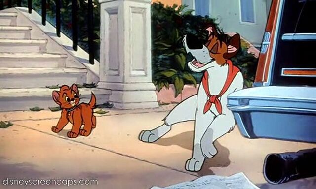 File:Oliver-disneyscreencaps.com-7679.jpg