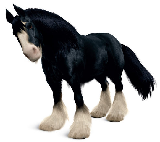 File:Angus-Brave.png