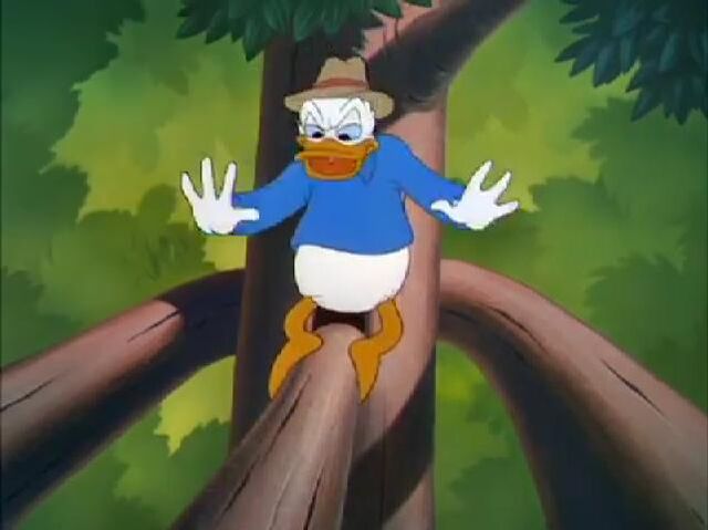File:Donald Duck - Out On A Limb 195023.jpg