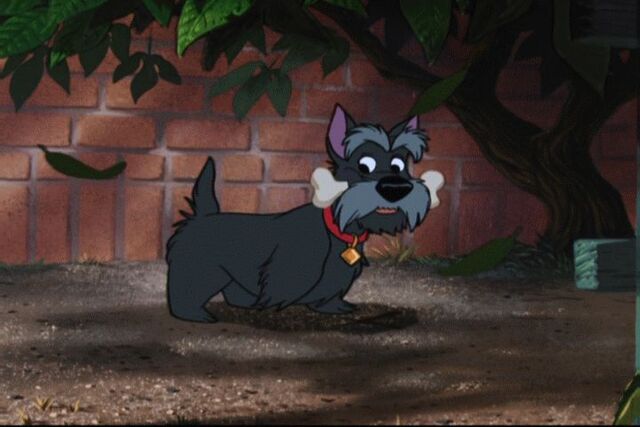 File:Ladyandthetramp127.jpg