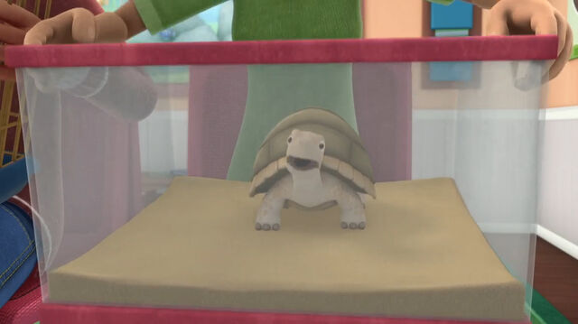 File:Turtle doc mcstuffins.jpg