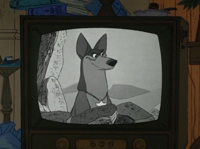 File:Tumblr nd9grt3a4s1qhcrb0o1 1280.jpg