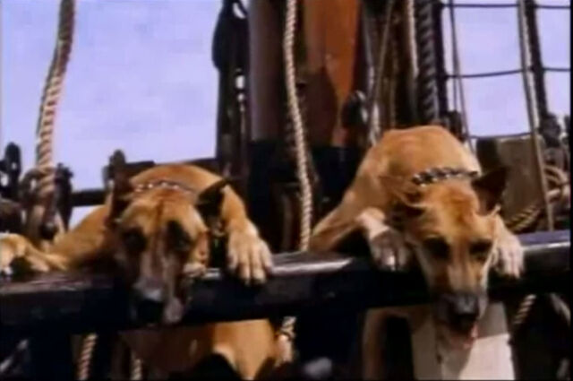 File:Duke and Turk.jpg