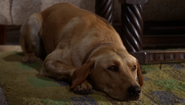 File:092-05.png