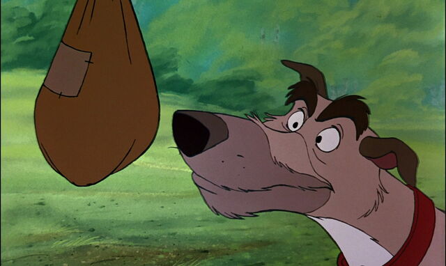 File:Fox-and-the-hound-disneyscreencaps.com-813.jpg