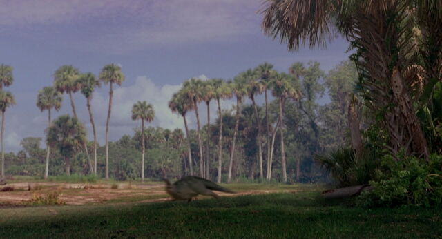 File:Dinosaur-disneyscreencaps.com-263.jpg