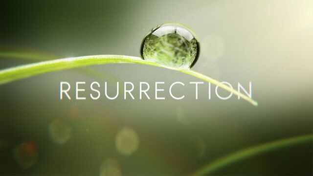 File:Resurrection 2013 logo.jpg