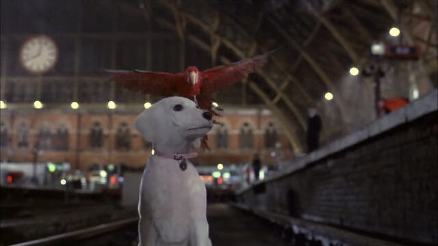 File:102-dalmatians-disneyscreencaps com-8246.jpg