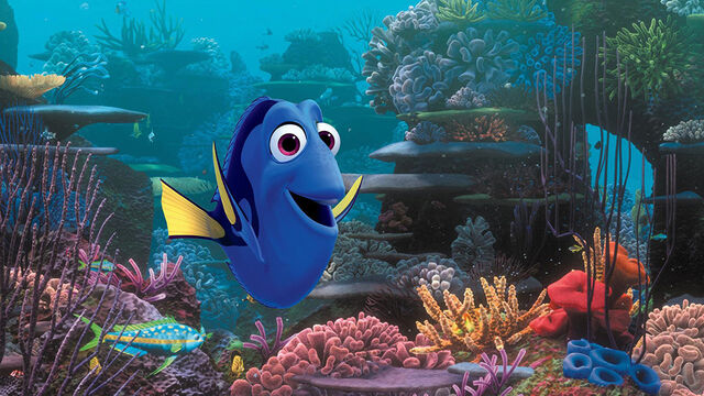 File:Lovable-misfits-dory.jpg