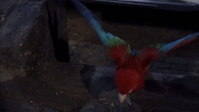 File:102-dalmatians-disneyscreencaps com-8670.jpg