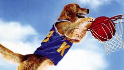 Air Bud Header