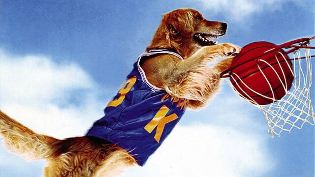 File:Air Bud Header.jpg
