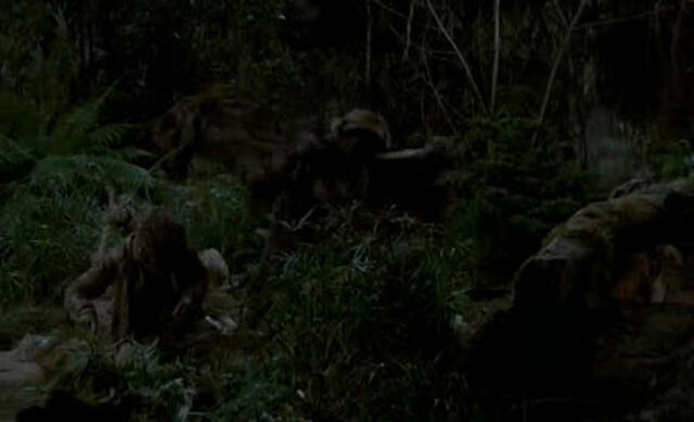 File:Petes-dragon-disneyscreencaps.com-597.jpg