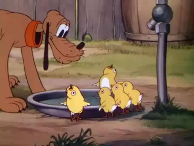 File:Pluto and chicks.jpg