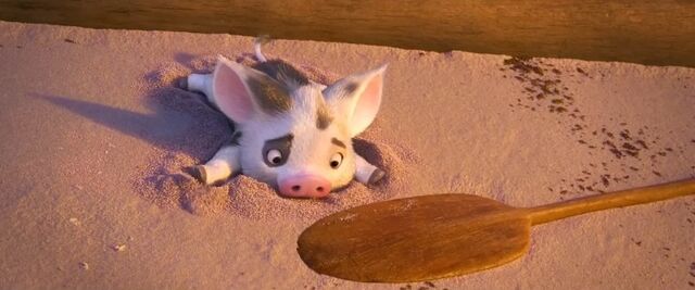 File:Pua oar Moana.jpg