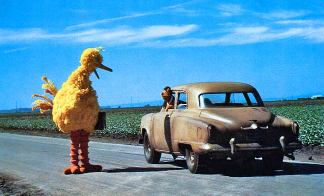 File:TMM-Promo-BigBird.jpg