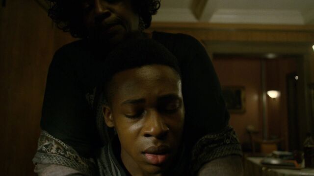 File:Cottonmouth2.jpg