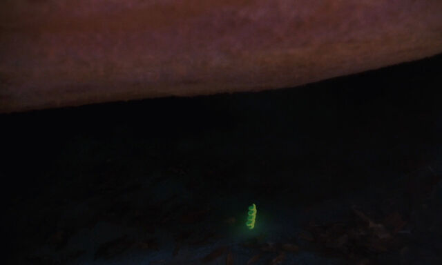 File:James-giant-peach-disneyscreencaps com-2151.jpg