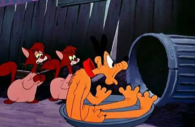 File:Puss Cafe 4.jpg