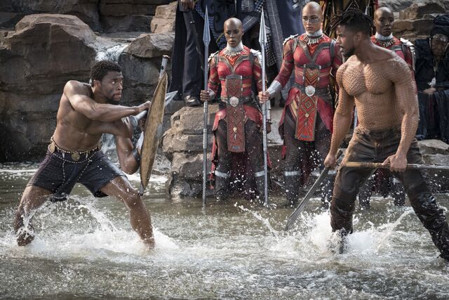 File:Black Panther photography 2.jpg