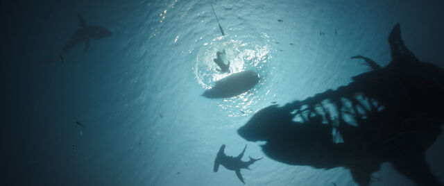 File:Sharks DMTNT.jpg