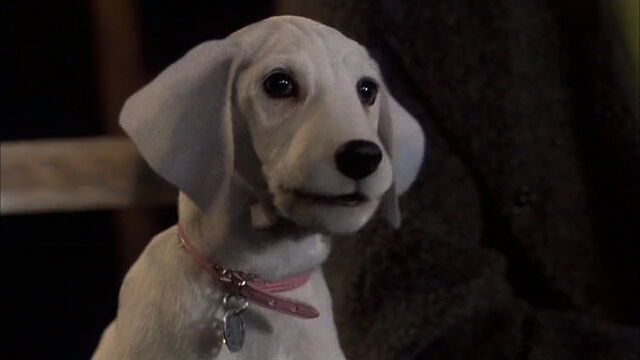 File:102-dalmatians-disneyscreencaps.com-4058.jpg