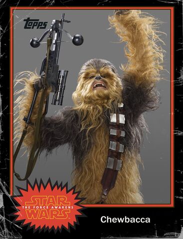 File:BlackFridayClassic Chewie.jpg