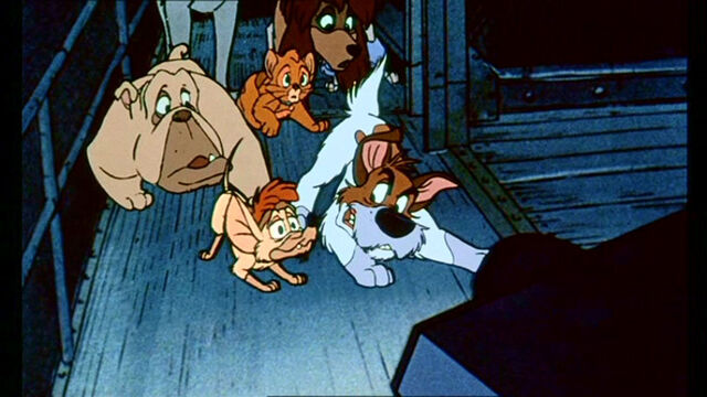 File:Oliver-Company-oliver-and-company-movie-5917633-768-432.jpg