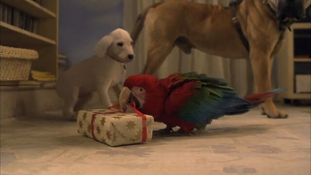 File:102-dalmatians-disneyscreencaps com-4662.jpg