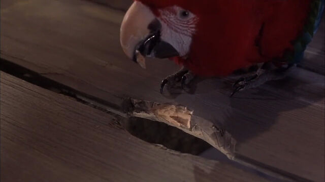 File:102-dalmatians-disneyscreencaps com-8785.jpg