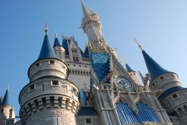 File:DSC 0318.jpg