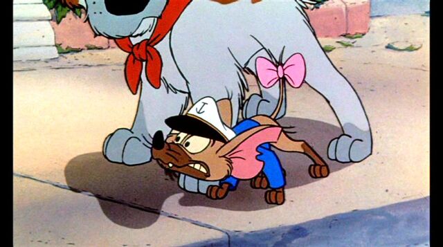 File:Oliverandcompany 1165.jpg