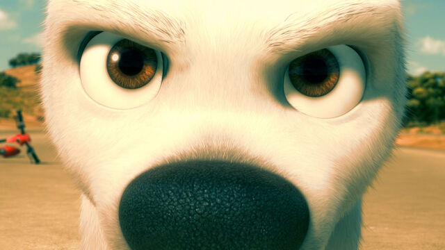 File:5328933448 22793b2d44 b.jpg.jpeg