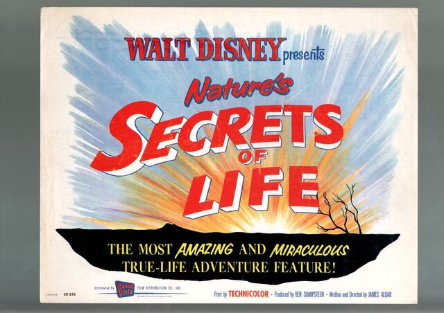 File:Secrets of life lobby.jpg