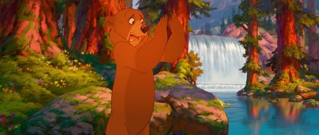 File:Bear 12.jpg