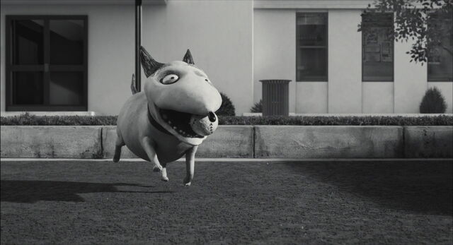 File:Frankenweenie-disneyscreencaps.com-1747.jpg