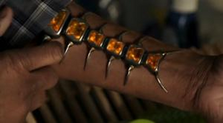Centipede