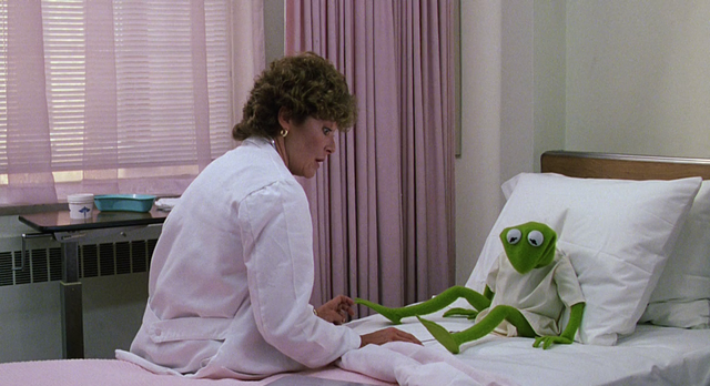 File:MTM-HospitalKermit.png
