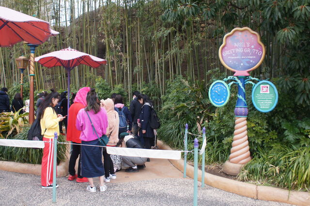 File:Ariel Greeting Grotto TDS.jpg