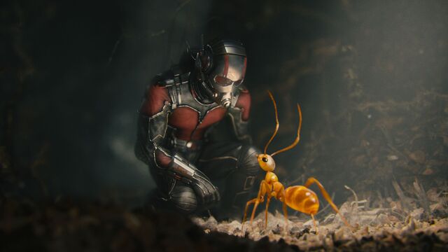File:Ant-Man (film) 115.jpg