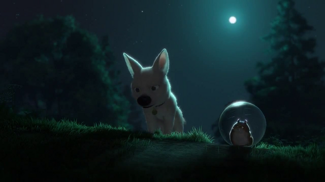 File:Vlcsnap-2015-08-23-17h54m48s047.png