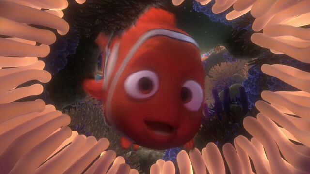 File:Finding-nemo-disneyscreencaps.com-458.jpg
