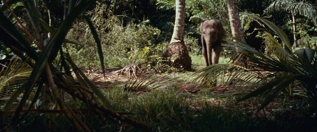 File:Rocky the elephant's first appearance.jpg