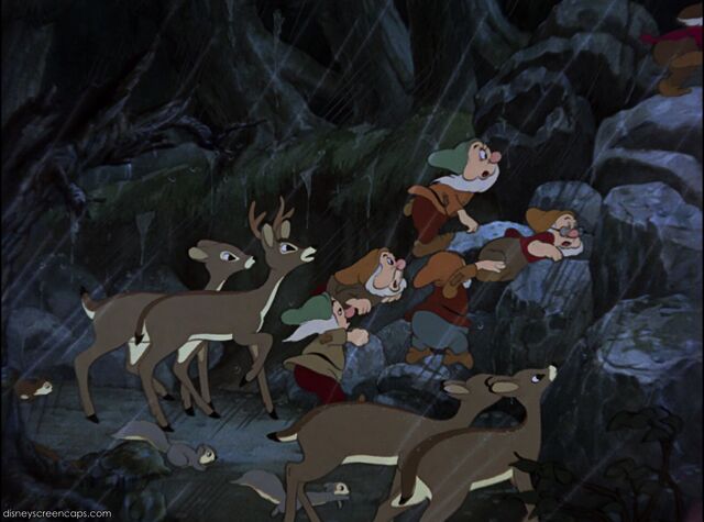 File:Not Climbing.jpg