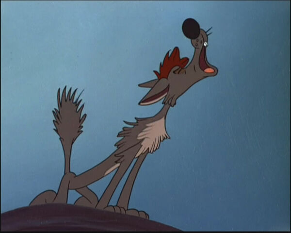 File:Bent-Tail Coyote howling.jpg