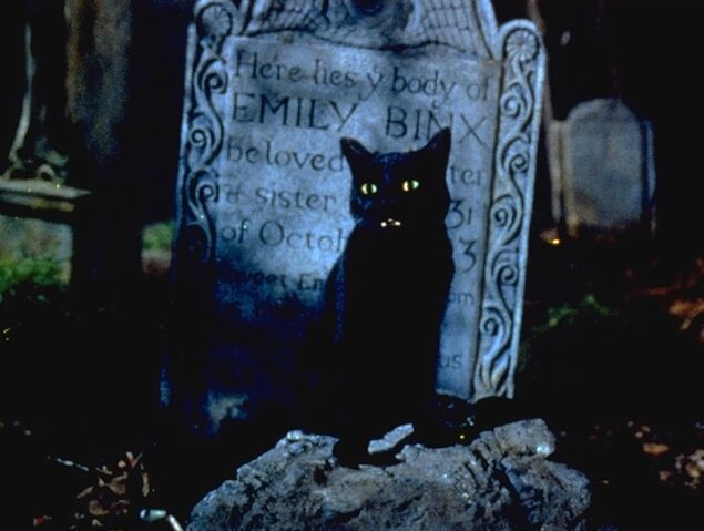 File:Hocus-Pocus 20Things 9.jpg