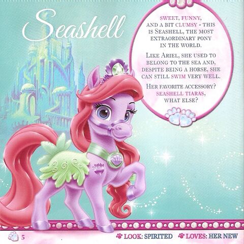 File:Seashell.jpg
